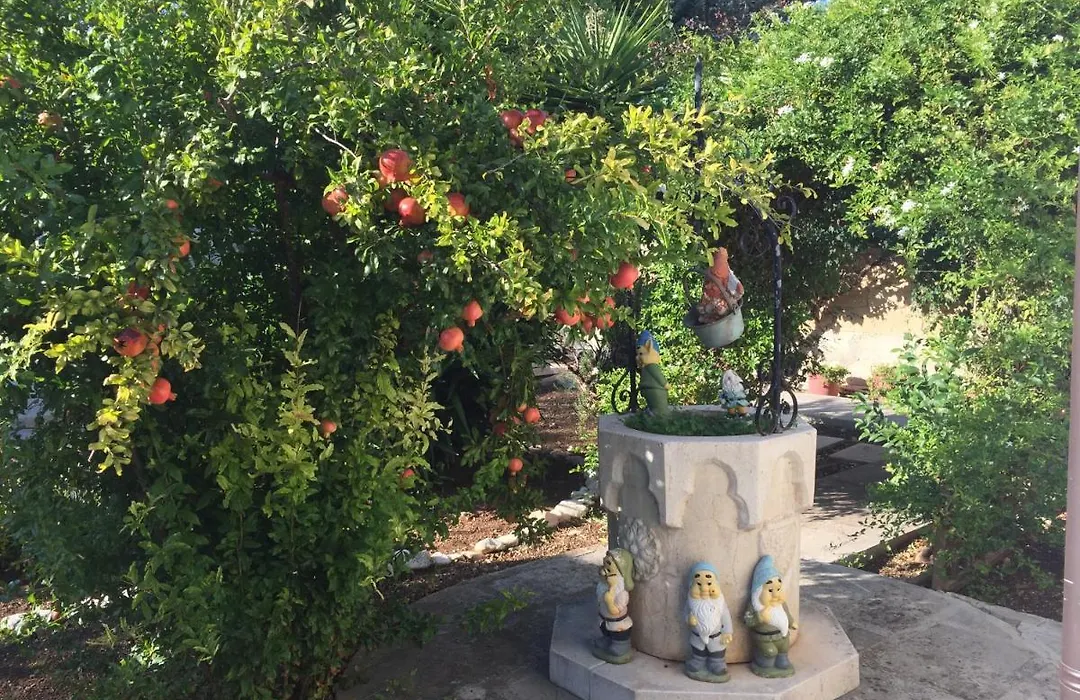 Il Giardino della Foglia-1